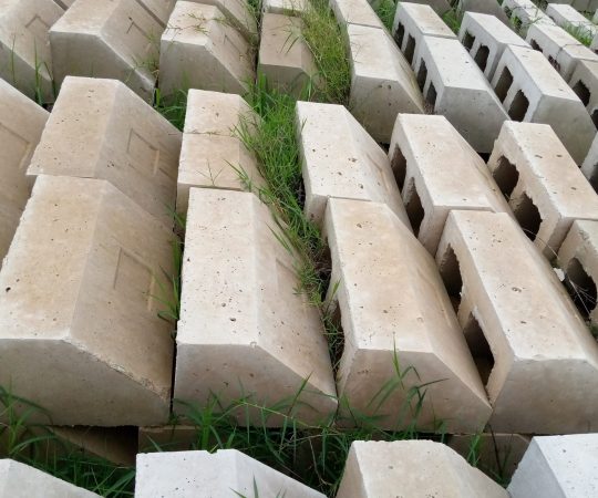 IMG_20210119_095929_733