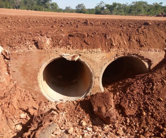 IMG_20220429_143210_529